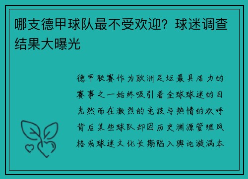 哪支德甲球队最不受欢迎？球迷调查结果大曝光