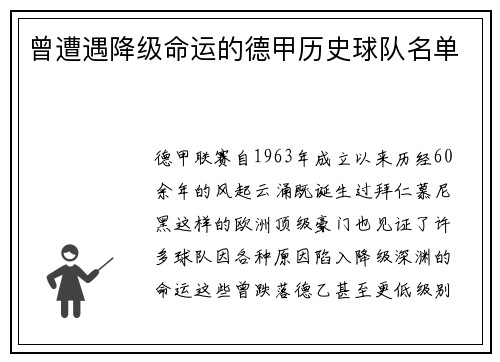 曾遭遇降级命运的德甲历史球队名单