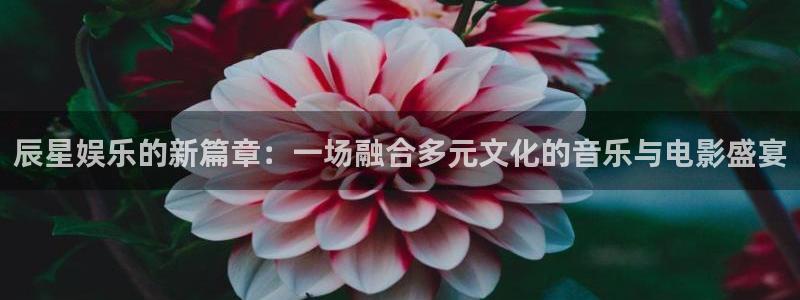upload/20250701114914.jpg